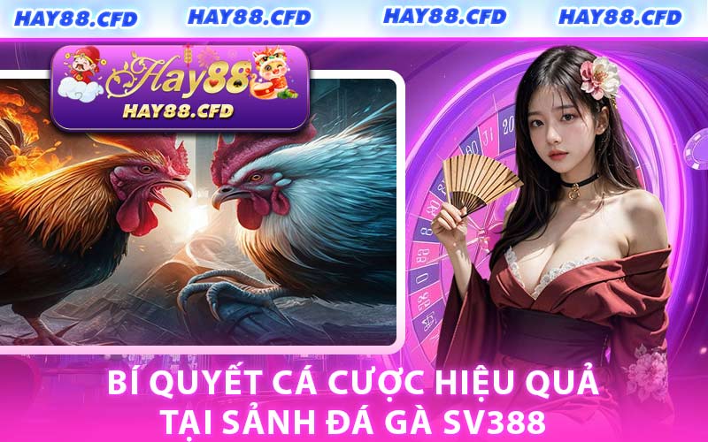 Bí Quyết Cá Cược Hiệu Quả Tại Sảnh Đá Gà SV388