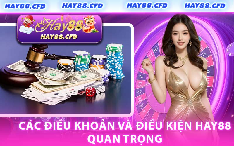 Các Điều Khoản Và Điều Kiện HAY88 Quan Trọng