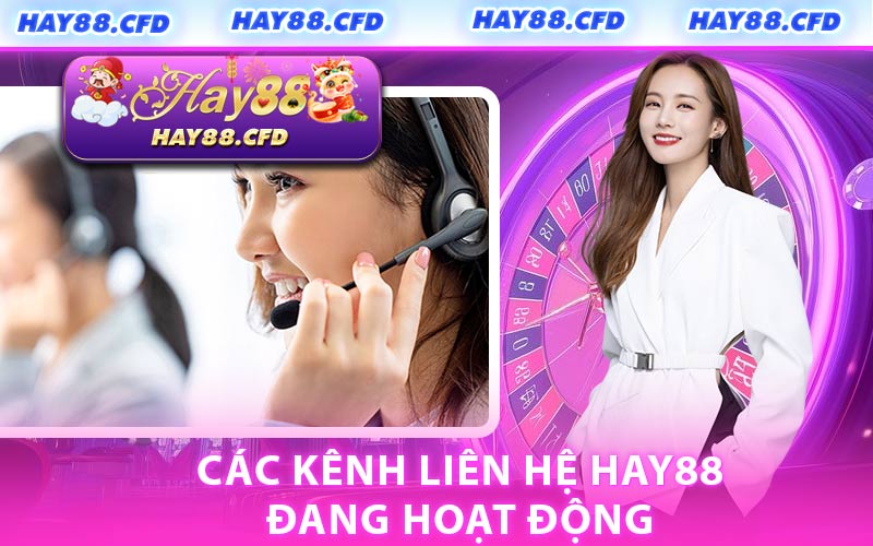 Các Kênh Liên Hệ HAY88 Đang Hoạt Động