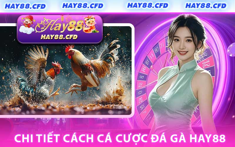 Chi Tiết Cách Cá Cược Đá Gà HAY88