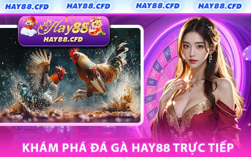 Khám Phá Đá Gà HAY88 Trực Tiếp