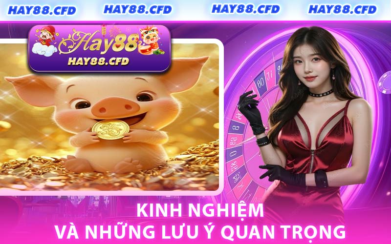 Kinh Nghiệm Và Những Lưu Ý Quan Trọng