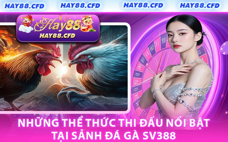 Những Thể Thức Thi Đấu Nổi Bật Tại Sảnh Đá Gà SV388
